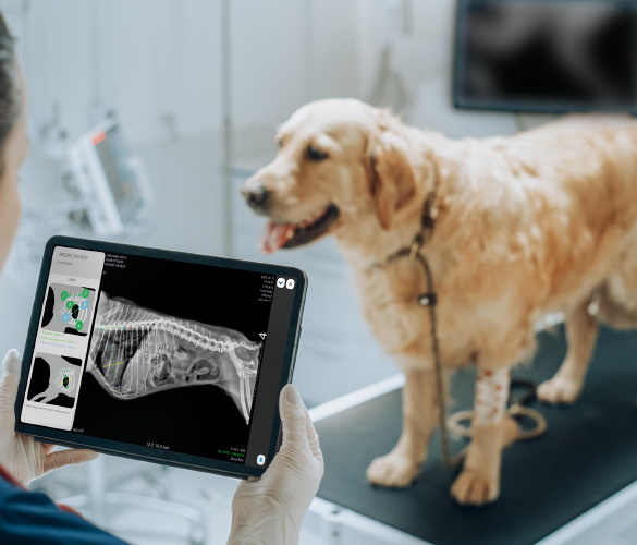 Veterinary X-ray Systems